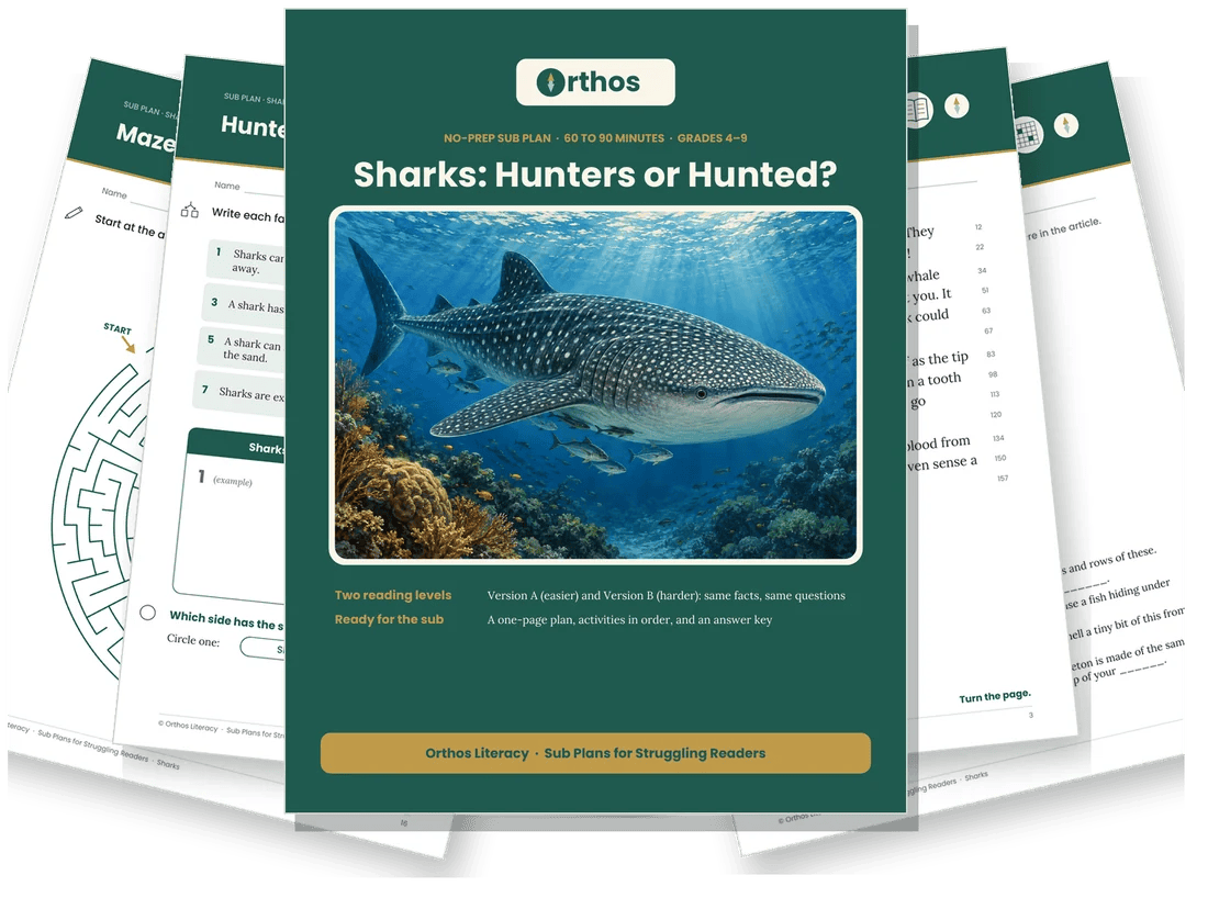Pages from the free Sharks sub plan: the cover, the article, a sorting activity, a maze and a crossword